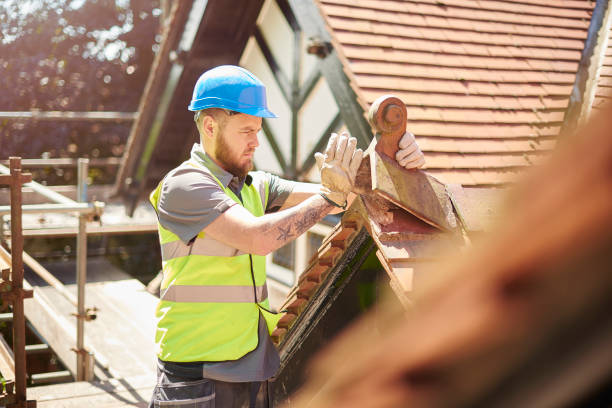 Roof Gutter Cleaning in East Norwich, NY